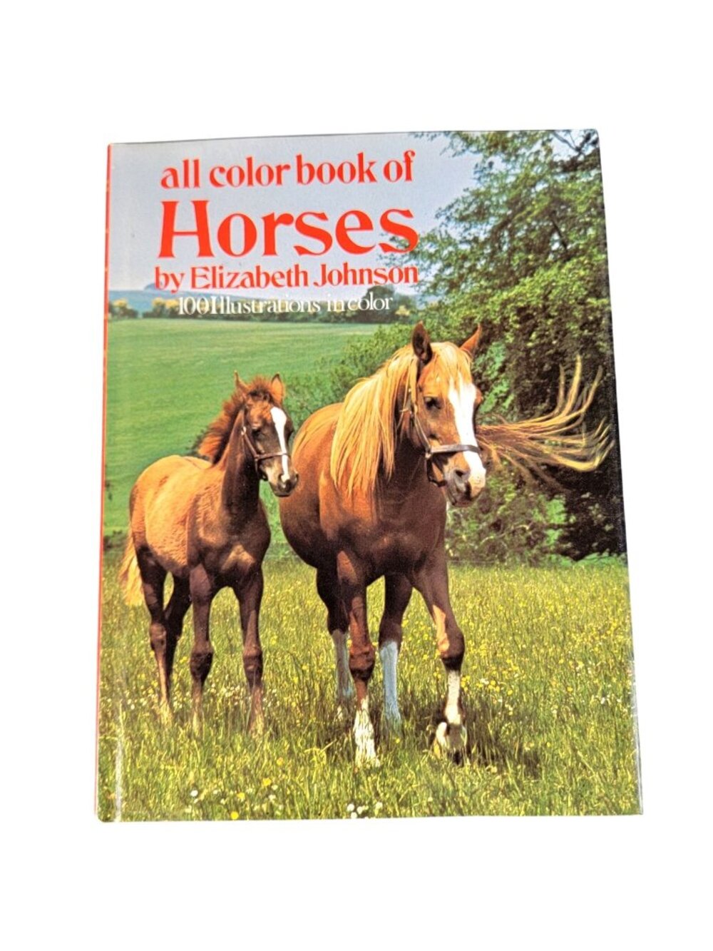 Vintage 70s All Color Book of Horses Hardcover Illustrated Home Decor Read Learn